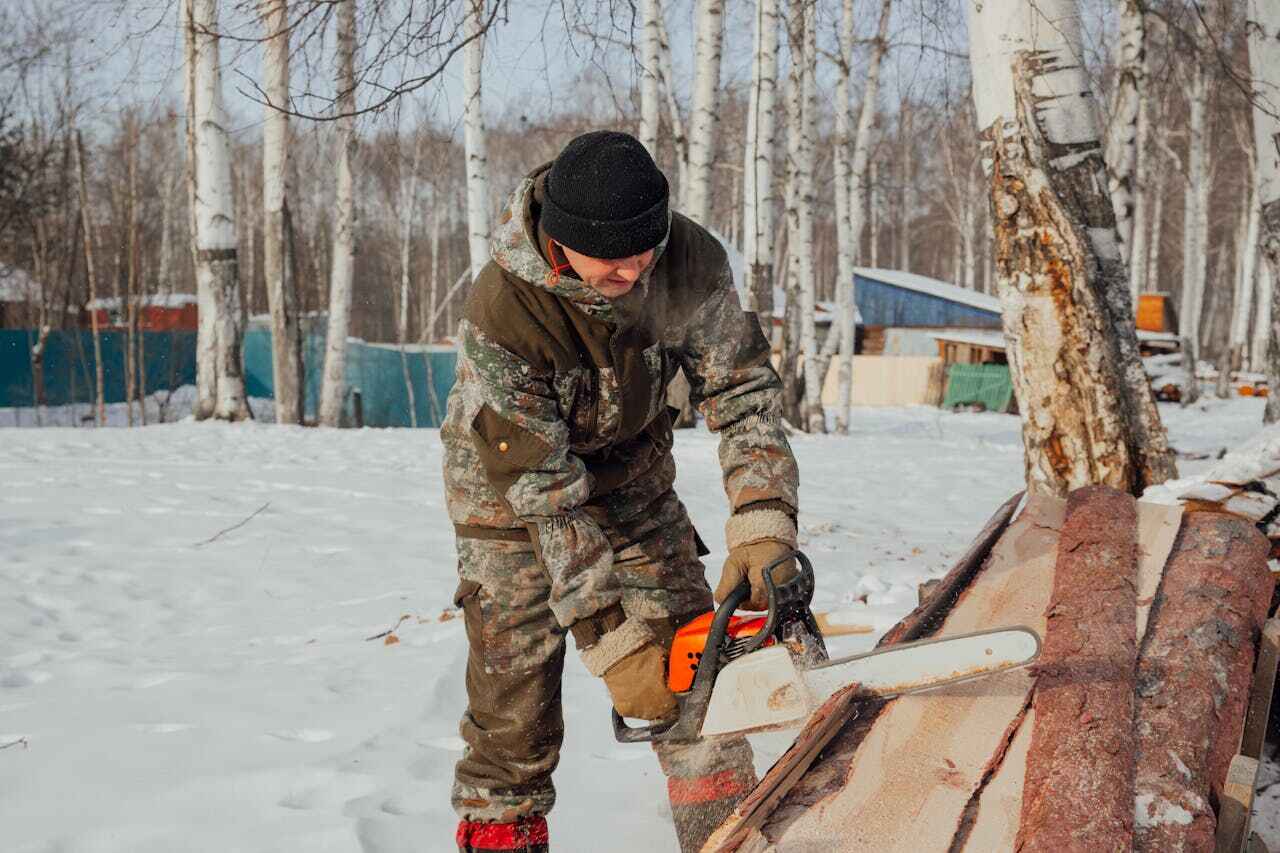 Best Tree Trimming Near Me  in Hermitage, PA